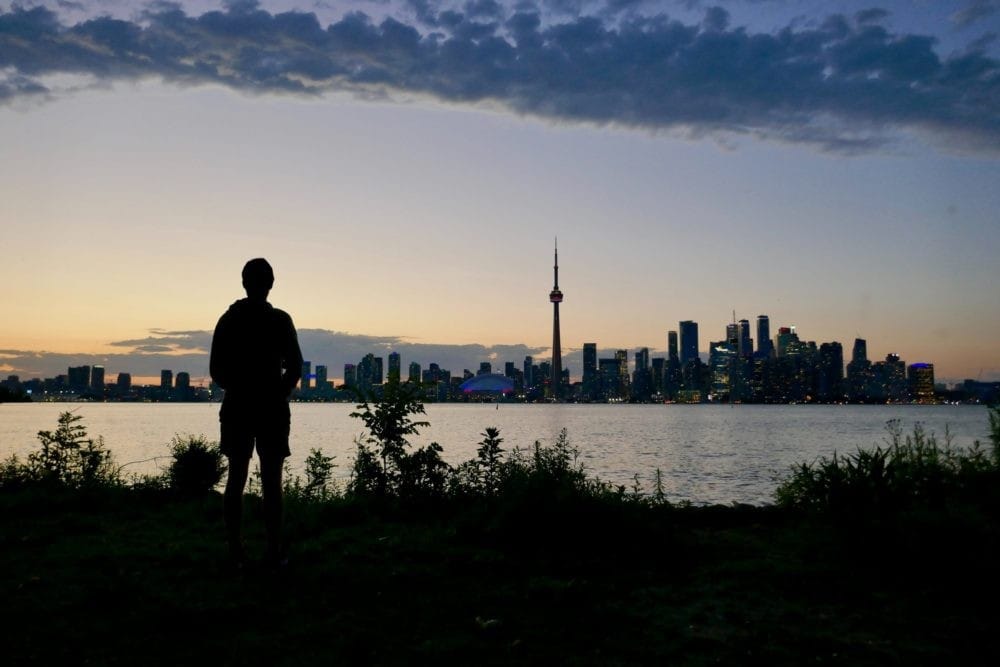 Chico landscape toronto